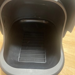 猫　トイレの画像