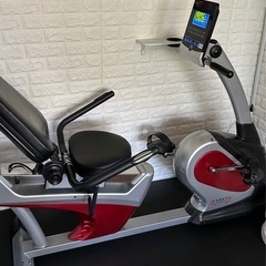 【早い者勝ち】リカンベントバイク YRB-3300NLの画像