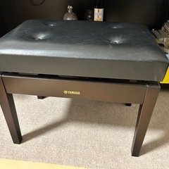 Clasinova CVP-203の画像