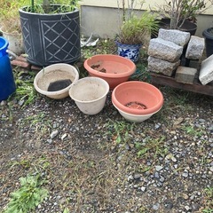 プランター、鉢植え、その他
の画像