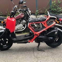 HONDA ZOOMERの画像