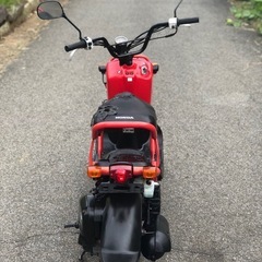 HONDA ZOOMERの画像