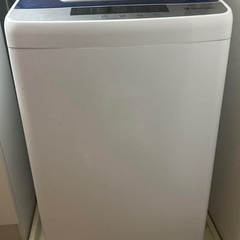 Sentern 5kgの画像