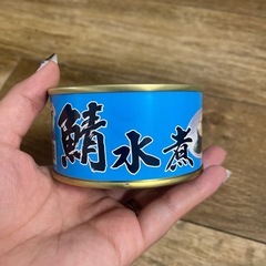 さばのみずに鯖の水煮