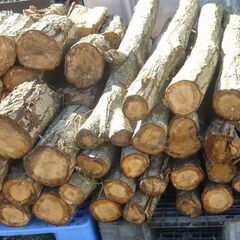 薪　玉切り広葉樹 （2025年11月）の画像