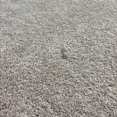 カーペットの画像