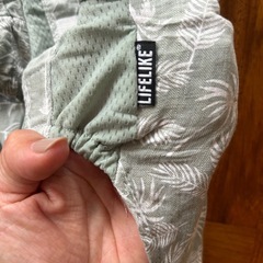 犬用　給水器　犬服　犬用ブラシ　ライフライク2Lの画像