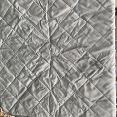レジャーシート（PENDLETON）の画像