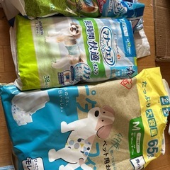 犬 マナーウエアまとめうりの画像