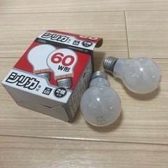 電球2個入り　シリカ電球の画像