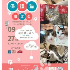 保護猫mini譲渡会 9/27sat