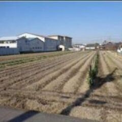 ★貸土地★    泉大津市虫取町　432坪　#資材置き場　＃トラ...