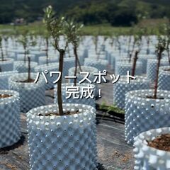 【ボランティア募集】9/21(日) 糸島・山北付近でオリー…