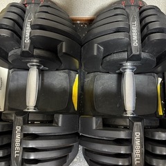 ダンベル　ジムマット　トレーニング　フィットネス　可変式ダンベルの画像
