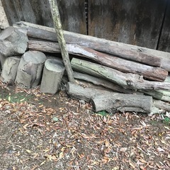 【無料】廃材②
の画像