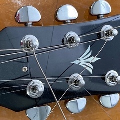 ARIA HANDCRAFTED fineQUALITY GUITARS の画像