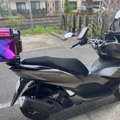 令和5年式 PCX160の画像
