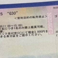 ゴスペラーズ　沖縄　9月27日（土）チケットの画像