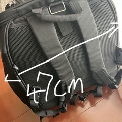 背負えるペットキャリー（ペットリュック）の画像