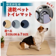 ペット用　吸水マットの画像