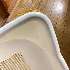 子猫　トイレ　の画像
