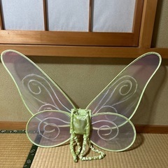 光る羽(ハロイン時期に値上げします)の画像