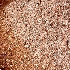 【無料🆓】おが屑（針葉樹）