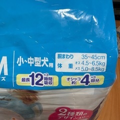 マナーウェア　犬用　Mサイズ　　の画像