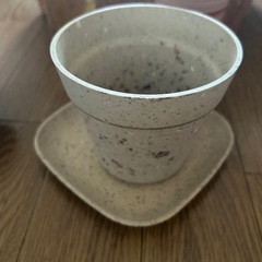 ボタニカリウム等　いろいろの画像