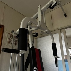 ROTEC アイロテック☆マルチホームジムの画像
