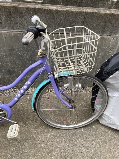 ブリヂストン24型 子供用自転車 ワイルドベリー (kint) 飯山満の