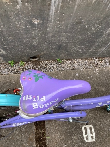 ブリヂストン24型 子供用自転車 ワイルドベリー (kint) 飯山満の