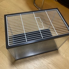 水槽の画像