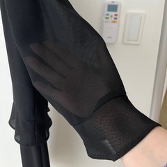 礼服　美品！　夏用　シースルーの画像