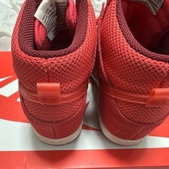 NIKE インヒール23センチの画像