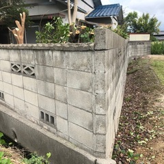 隣地の境界の伐採出来ますの画像