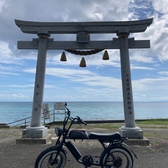 電動アシスト自転車 BRONX BUGGY 20（ブロンクス バギー）の画像