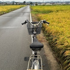 パナソニック電動自転車の画像