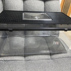 【美品】SANKO パノラマビック飼育ケース 【値引き可能】の画像