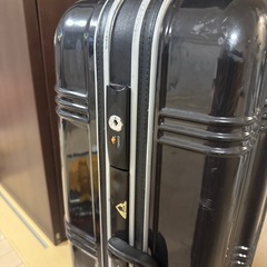 スーツケース　Lサイズ　長期用　海外の画像