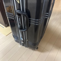 スーツケース　Lサイズ　長期用　海外の画像