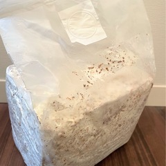 菌糸ブロック　月夜野きのこ園　クワガタ　カブトムシ用の画像