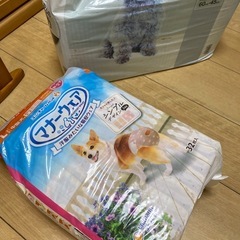 中型犬マナーウェア開封未使用　シーツ付きサービスの画像