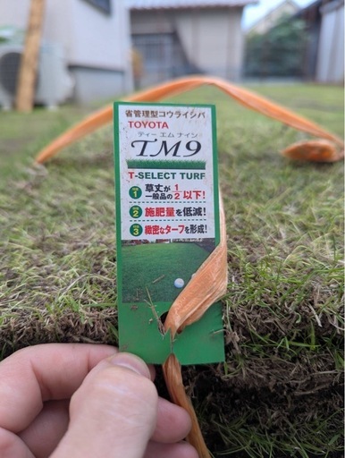TM9芝生8束セット