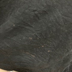 【募集中】【近日中処分予定】GU レディース　半袖Tシャツ　Lサイズの画像
