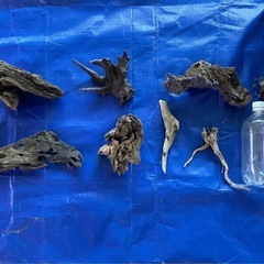 アクアリウム　流木　砂利　　セットの画像