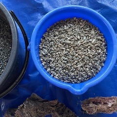 アクアリウム　流木　砂利　　セットの画像
