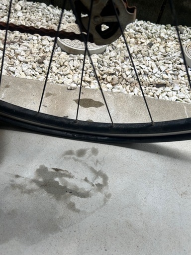 Giant (要整備品)