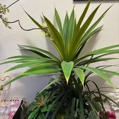 フェイク観葉植物の画像