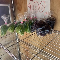 ☆野菜無人販売☆ALL100円！具志頭中学校前